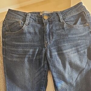 Wit & Wisdom Blue Skinny Jeans/Jeggings, Super Soft Stretch